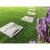 Paviment pentru poteca gradina, set 4 buc, PP, efect piatra, gri, 30x30 cm, Strend Pro GartenVIP DiyLine