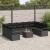 Set de Canapea de Grădină  cu 10 Piese și Perne Negre din Poliratan, Canapea de Grădină  cu 2 Locuri și Perne Negre din Poliratan GartenMobel Dekor