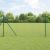 Euro Fence cu 13 Stâlpi 1.2x25 m Oțel Zincat Verde GartenMobel Dekor