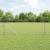 Euro Fence cu 13 Posturi Spike 0.6x25 m Oțel Galvanizat GartenMobel Dekor