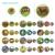 Set magneti Montessori - Animale de la ferma PlayLearn Toys
