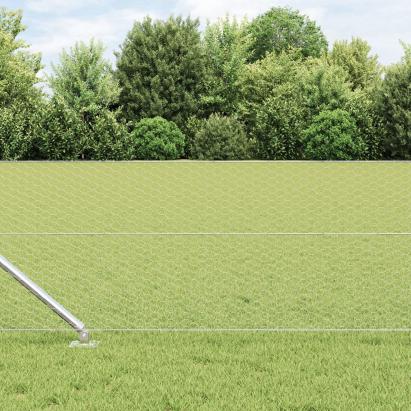 Gard hexagonal  0.6x50 m Oțel galvanizat, Stâlpi de gard  cu vârf 13 buc Ø32 mm 80 cm Oțel galvanizat GartenMobel Dekor