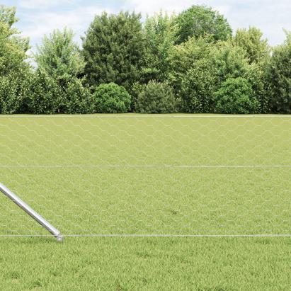 Gard Hexagonal  0.6x50 m Oțel Galvanizat, Stâlpi de Gard  cu Ancoră în Prăjină 13 buc Ø32 mm 80 cm Oțel Galvanizat GartenMobel Dekor