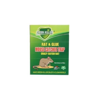 Capcana cu lipici pentru sobolani tip carte 515x330mm 405g Cod: DISPV96 Automotive TrustedCars