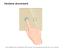 Telecomanda cu Touch Screen si 2 Canale RF433 LUXION SmartElectro IntelligentHouse