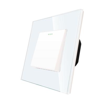 Intrerupator Simplu Mecanic LUXION cu Rama din Sticla SmartElectro IntelligentHouse