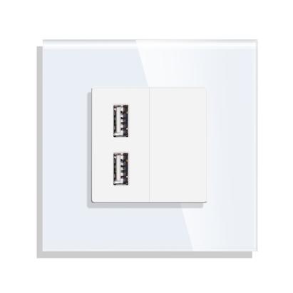 Priza USB cu Rama din Sticla LUXION SmartElectro IntelligentHouse