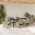 Set de Dining pentru Grădină 7 Piese Bej Poliratan GartenMobel Dekor