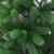 Brad Crăciun pre-iluminat cu set globuri, verde, 150 cm GartenMobel Dekor