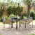 Set de Dining pentru Grădină cu Perne Bej Ratan Poli GartenMobel Dekor