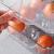 Suport pentru Ouă cu Capac 15buc Handy KitchenServ