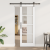 Ușa glisantă  cu set de feronerie "ORKDAL" Alb 73.5x211 cm, Ușa de interior  cu sticlă "ORKDAL" Alb 73.5x211x4 cm GartenMobel Dekor