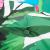 Perne de scaun spătar înalt, 2 buc., multicolor, textil oxford GartenMobel Dekor