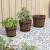 Set de jardiniere tip găleată, 3 piese, lemn masiv de brad GartenMobel Dekor