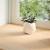 Pervaz 2 buc lemn masiv de stejar netratat 160x20x2 cm GartenMobel Dekor
