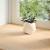 Pervaz 2 buc lemn masiv de stejar netratat 160x25x2 cm GartenMobel Dekor