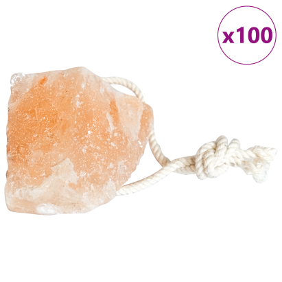 Pietre de Sărat 100 de bucăți cu Corde pentru Animale de Fermă 12,5 kg Roz GartenMobel Dekor