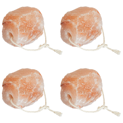 Blocuri de Sare 4 buc cu Corde pentru Animale 10 kg Roz GartenMobel Dekor
