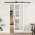 Ușă glisantă  cu set de hardware 'ORKDAL'Alb Lemn Solid & Sticlă, Ușă de interior  cu sticlă 'ORKDAL'Alb 73.5x211x4 cm GartenMobel Dekor