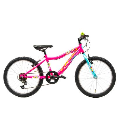 Bicicleta Copii DHS Plasma - 20 Inch, Roz Ultimate FactoryBikes