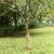 Rulou de iută, 0,5x5 m, iută 100%, 200 g/m² GartenMobel Dekor