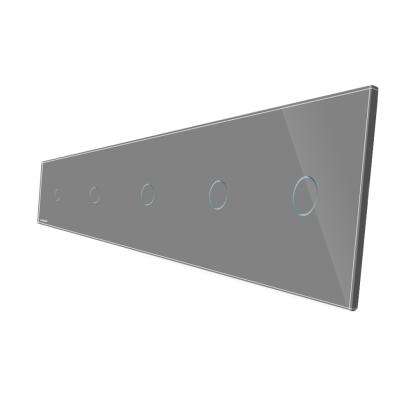 Panou 5 intrerupatoare simple cu touch Livolo din sticla SmartElectro IntelligentHouse