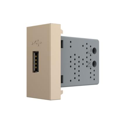 Priza USB Livolo SmartElectro IntelligentHouse
