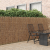 Gard din ramuri 600x150 cm GartenMobel Dekor