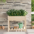 Jardinieră  cu raft 90x90x76 cm Lemn masiv de pin GartenMobel Dekor