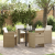 Set 5 piese grădină cu perne ratan polibez GartenMobel Dekor