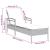Șezlong cu pernă gri 63x200x81 cm, poliratan (doar SUA) GartenMobel Dekor