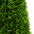 Planta artificială topiary  Pin cu ghiveci 24x90 cm Verde GartenMobel Dekor