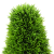 Planta artificială topiary  Pin cu ghiveci 24x90 cm Verde GartenMobel Dekor