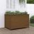 Strat înălțat grădină maro miere 119,5x82,5x78cm lemn masiv pin GartenMobel Dekor
