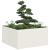 Jardinieră alb 80x80x40 cm Oțel laminat la rece GartenMobel Dekor