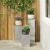 Suporturi plante pilon, exterior, 3 buc., oțel inoxidabil GartenMobel Dekor