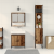 Set de mobilier pentru baie , 3 piese, lemn vechi, lemn compus GartenMobel Dekor