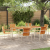 Set dining gradină  7 Piese Lemn Masiv Teak GartenMobel Dekor