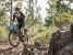 Portbagaj Topeak Tetrarack M2 Ta2408M2, Pentru Mtb Ultimate FactoryBikes
