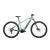 Bicicleta Electrica Raymon Mtb Hardray Select 2025 - 29 Inch, L, Verde - Altus Ultimate FactoryBikes