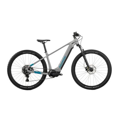 Bicicleta Electrica Raymon Mtb Hardray 500 2025 - 29 Inch, L, Gri - Cues Ultimate FactoryBikes