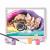 HAPPI HOBBI PICTEAZA INRAMEAZA DULCE PRIETENIE SuperHeroes ToysZone