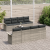 Set Sofa Grădină 9 Piese cu Perne Gri Deschis Ratan Poli GartenMobel Dekor