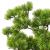 Bonsai Pinus artificial cu ghiveci, verde, 60 cm GartenMobel Dekor