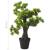 Bonsai Pinus artificial cu ghiveci, verde, 60 cm GartenMobel Dekor