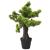 Bonsai Pinus artificial cu ghiveci, verde, 60 cm GartenMobel Dekor