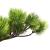 Bonsai Pinus artificial cu ghiveci, verde, 60 cm GartenMobel Dekor