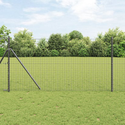 Gard Euro Gri 1,2x25 m Fier GartenMobel Dekor