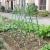 Ansamblu suport araci cu plasa pentru cresterea plantelor cataratoare, castraveti, fasole, mazare, 210 x 210 cm GartenVIP DiyLine