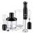 Set blender multifunctional cu tija lunga ZASS ZHB 12 MF ProDesign DailyAppliances